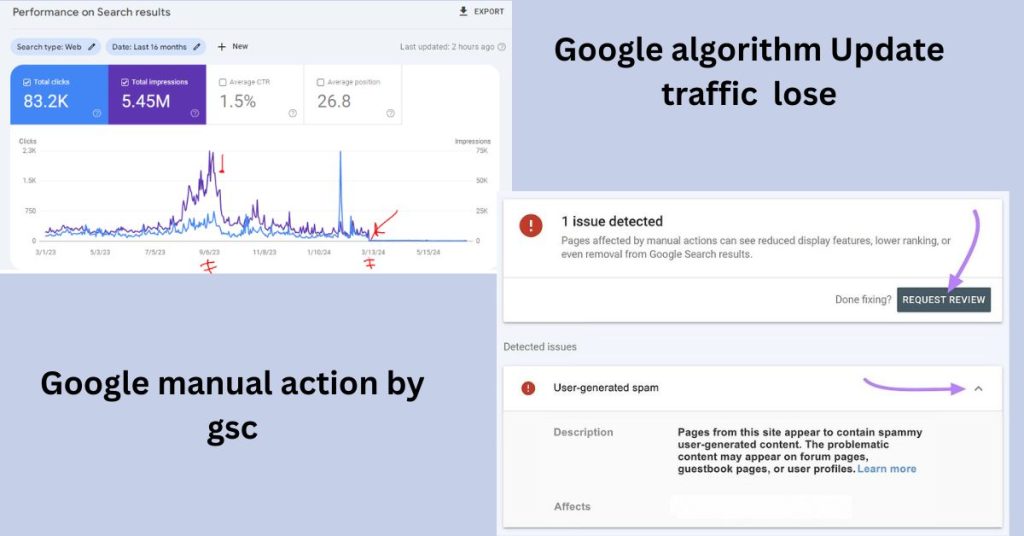 Google Manual Action vs Algorithm Penalty side by side